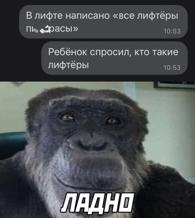 Весёлый полтишок 20.10.22