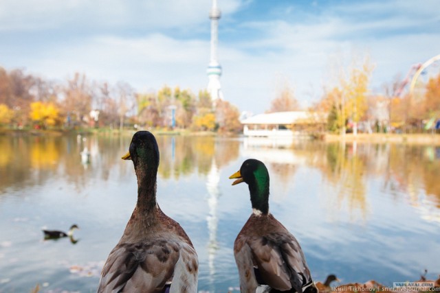 Узбекистан-Махалля и люди