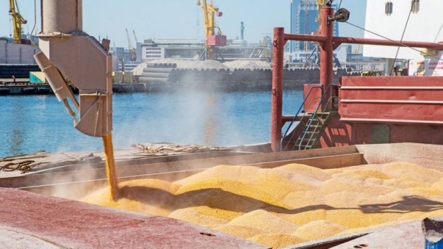 Пандемия съехавших крыш - разновидности болезни. Россия и мир. Часть 45.