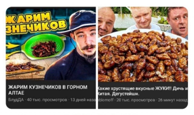 Победная поступь идиотизма по планете – том 2