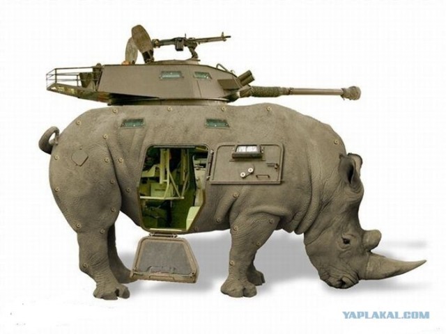 Wargaming 3