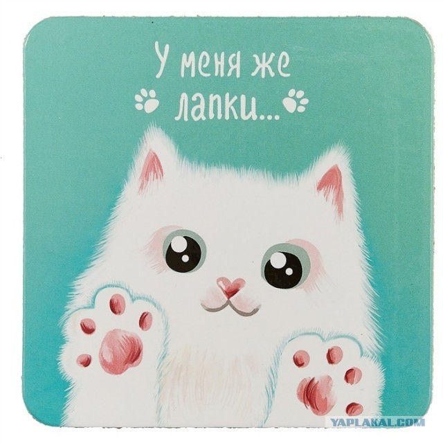 Кот это жидкость