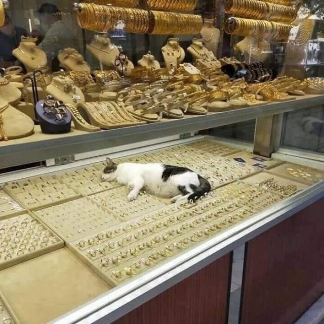 Необычные картинки