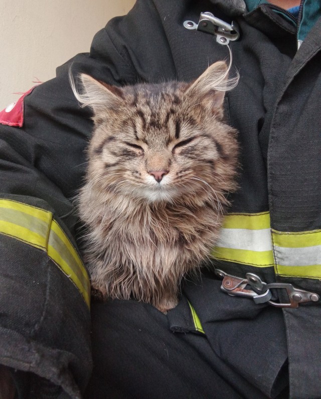 Дождалась