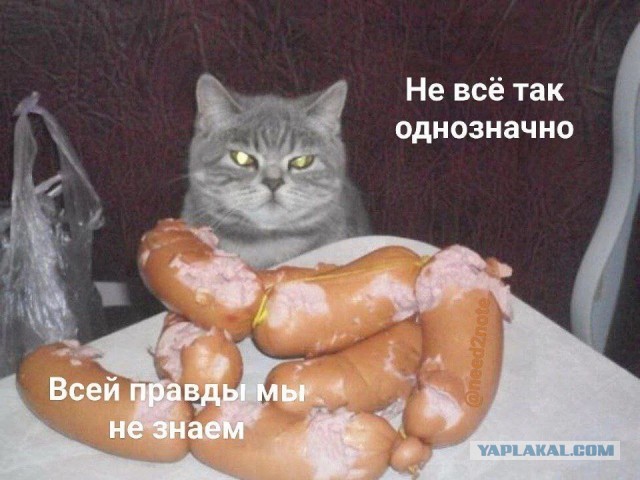 О чем говорили Си Цзиньпин и Макрон по итогам переговоров в Пекине