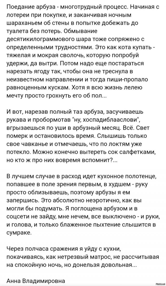 Так себе картинки 05.08.23