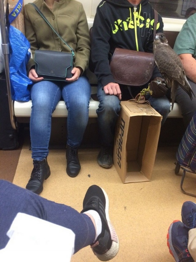 Модники из российского метрополитена