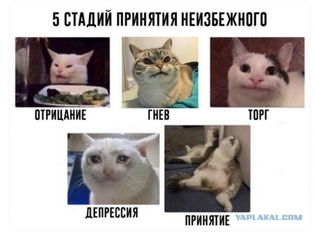 Как бутылочка пива меняет мировоззрение.