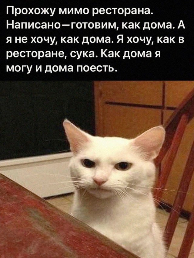 Картинки из Дристоля