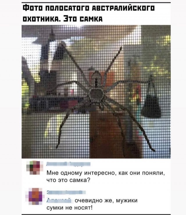 Отряд быстрого деградирования