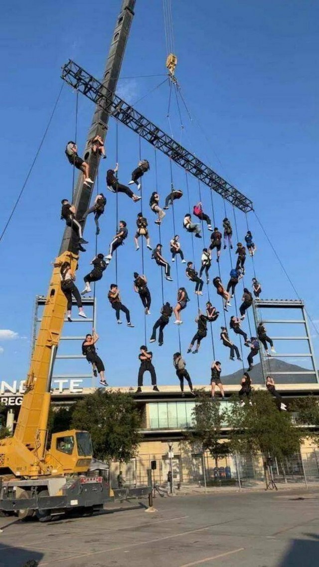 ФотоВинегрет из 55 пикч