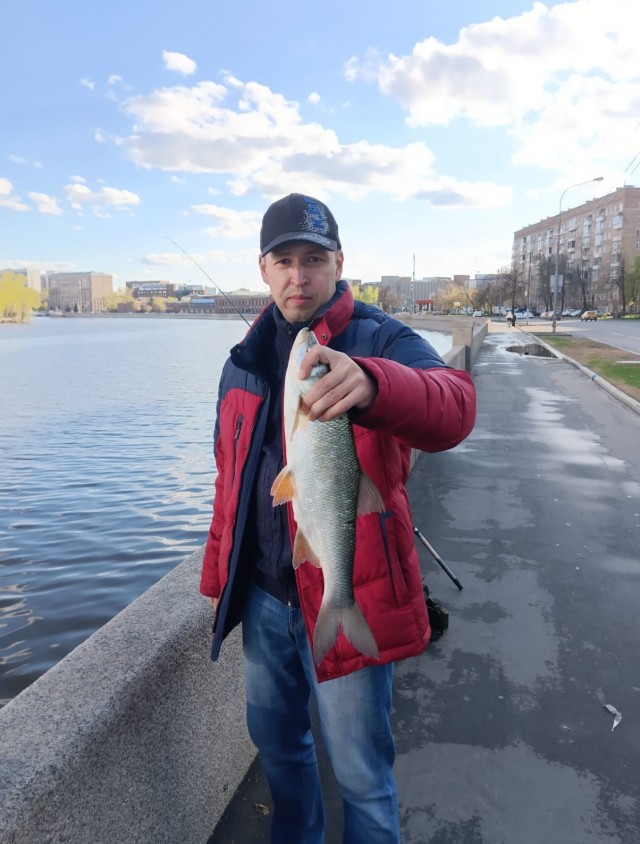 Очередная серия, вы рып показываете?!