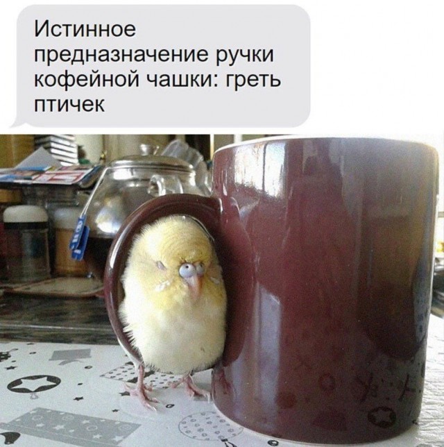 Так себе картинки 05.06.24