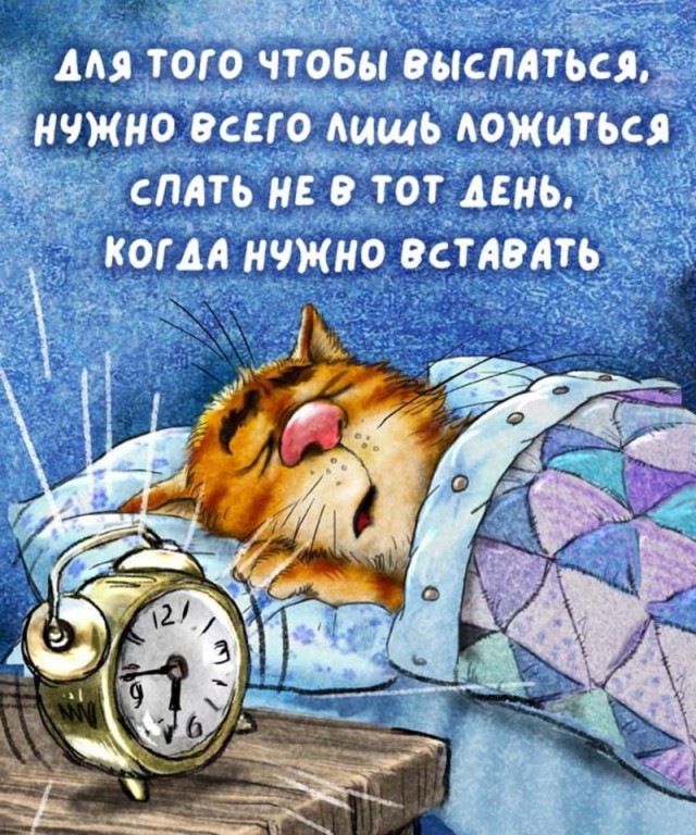 Коты минской художницы Ирины Зенюк