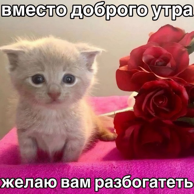 Всего понемногу. От 08.07