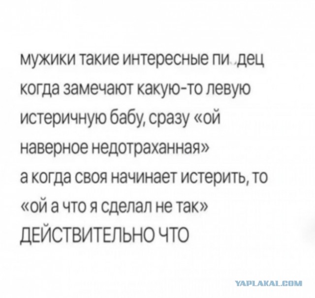 Весёлый полтишок 12.09.24