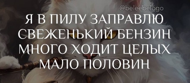 Всего понемногу. От 25.11.2024