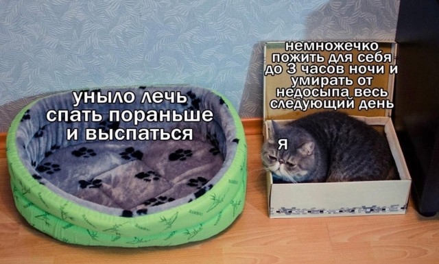 Завалялось тут случайно немного забавных картинок
