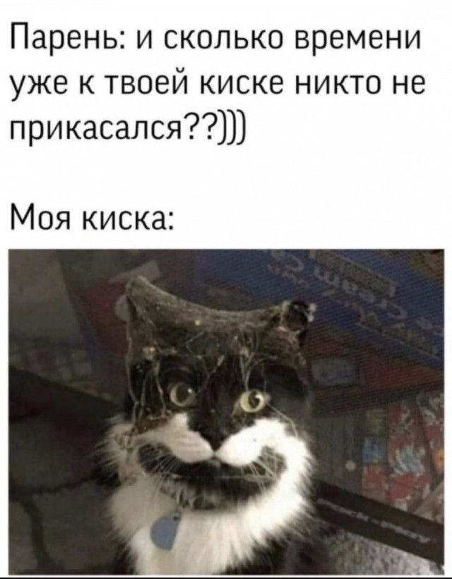 Юмор для тех, кто уже повзрослел и понял, что возраст — это просто дорогое хобби