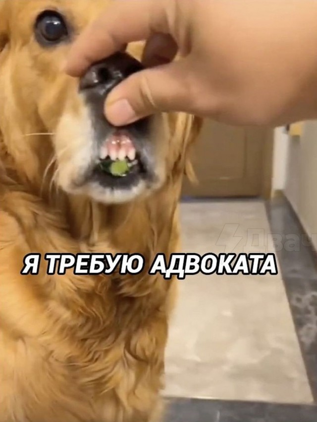 Это подстава