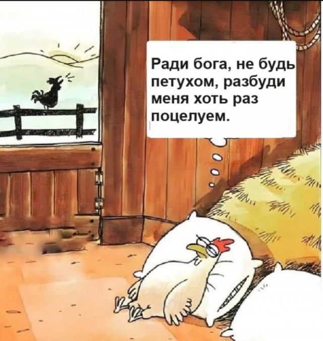 Немного картинок с текстом