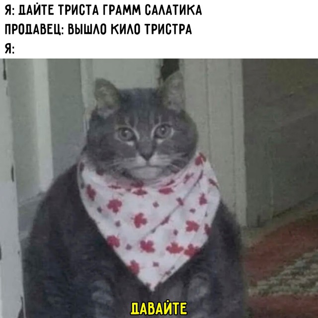 Картинки для деградации 16 (разной степени свежести)