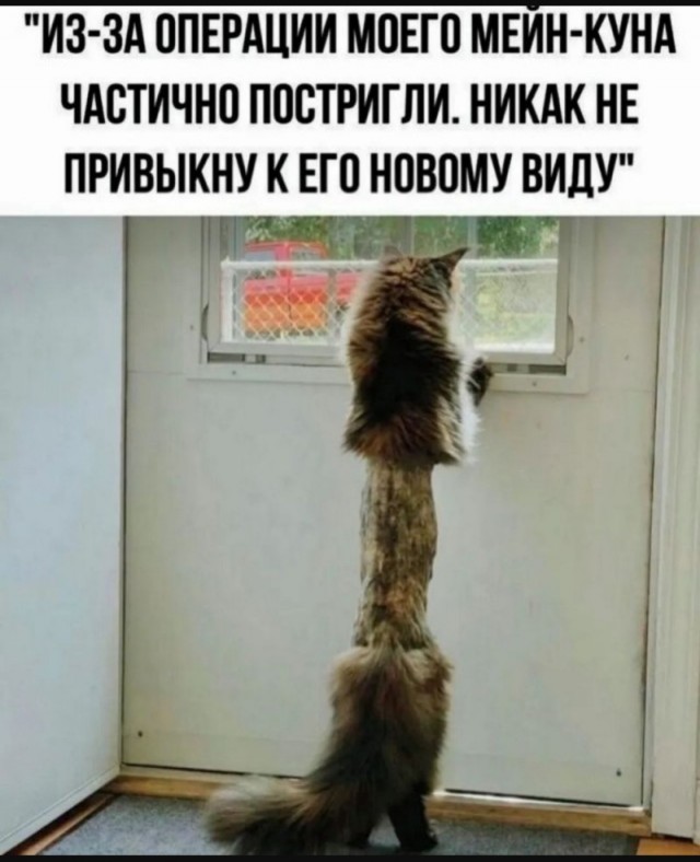 Так себе картинки 09.08.25