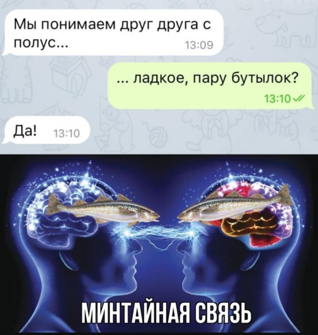 Так себе картинки 20.08.25