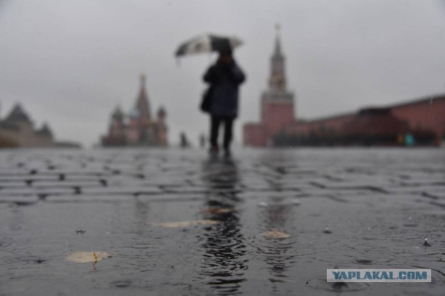 Безрадостные прогнозы