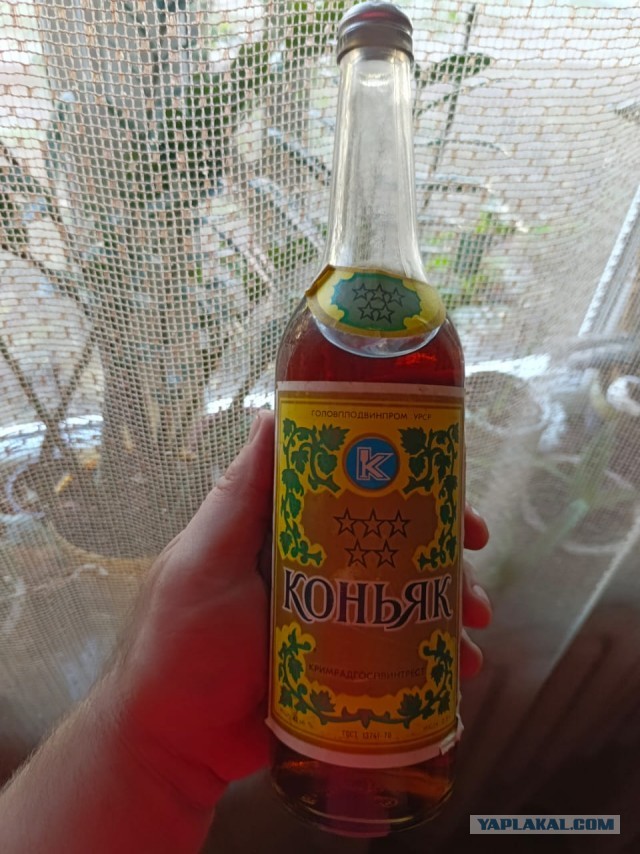 Оцените КАНИНУ