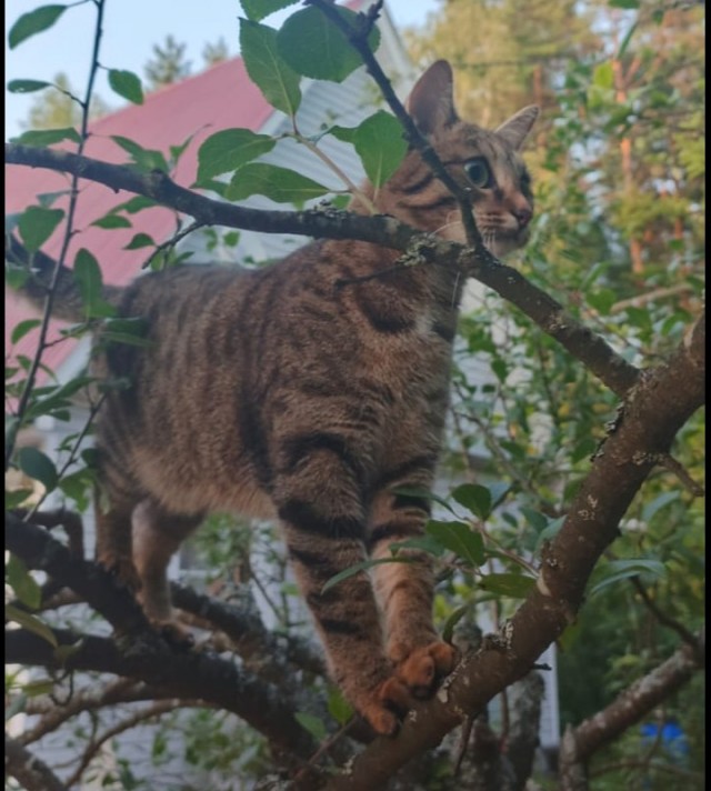 Пришёл подарок для любимой жены на др.