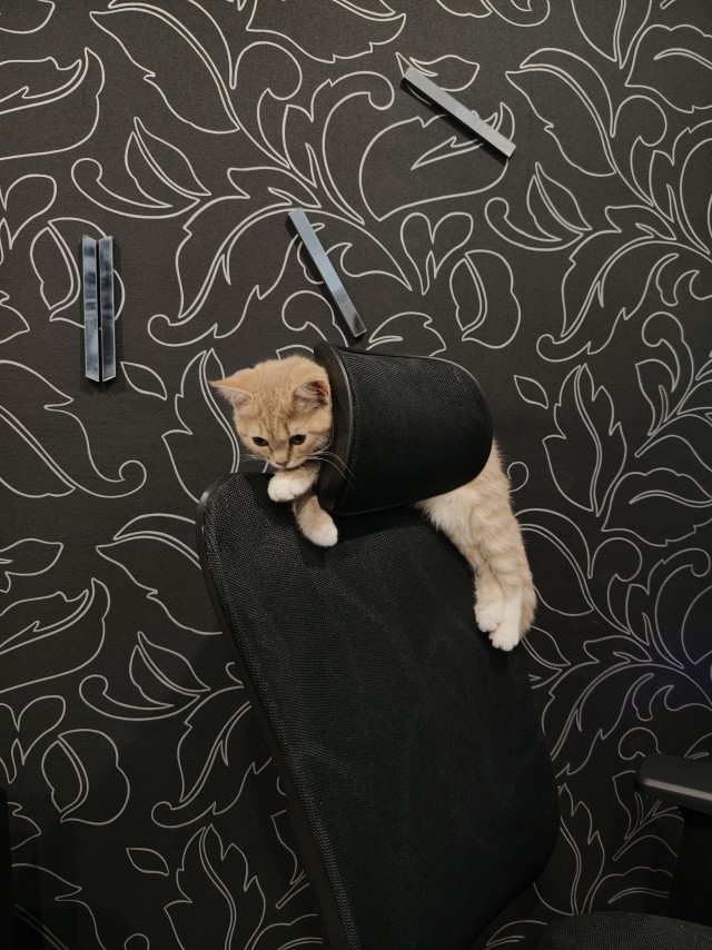 В тему дня .