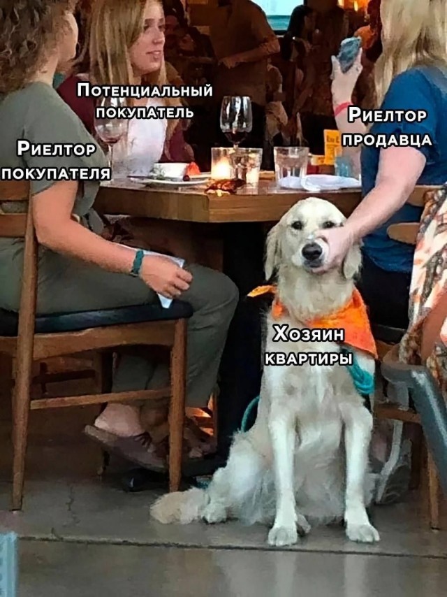 Немного картинок на ночь