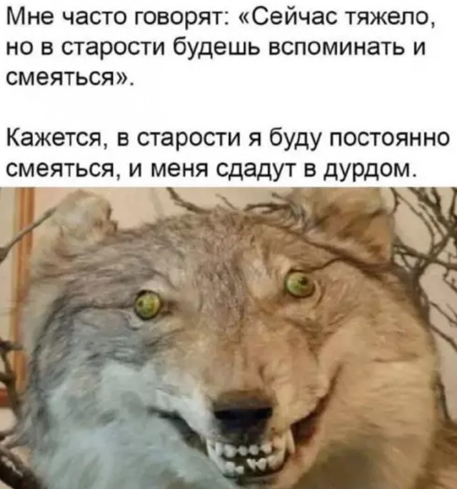 Картиночки, баянчики 22 апреля