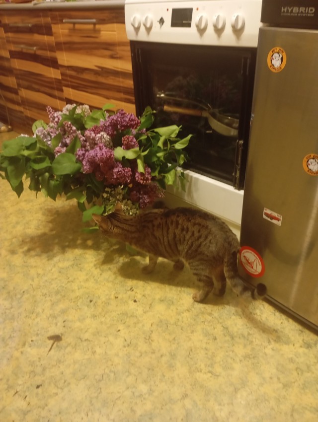 К нам сегодня заходил