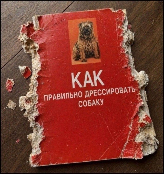 Так себе картинки 12.06.26