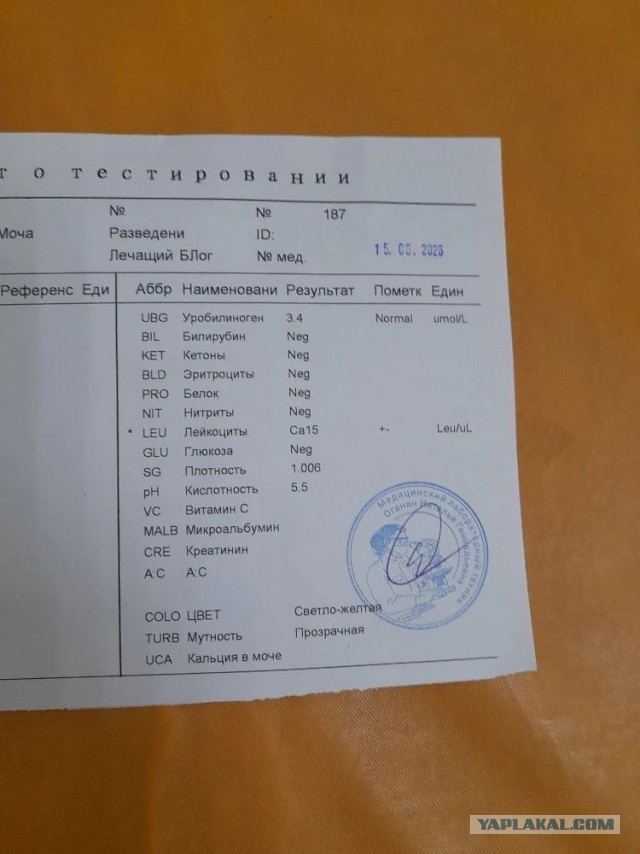 Не дать растаять Снегурчке. Нужна помощь всесильного Япа.
