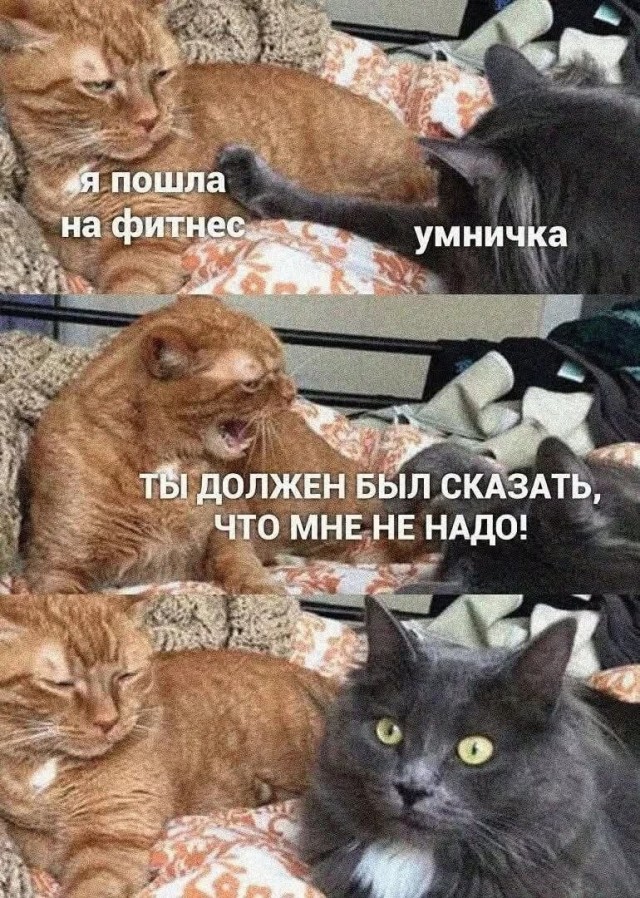 Картинки для деградации 250 (разной степени свежести)