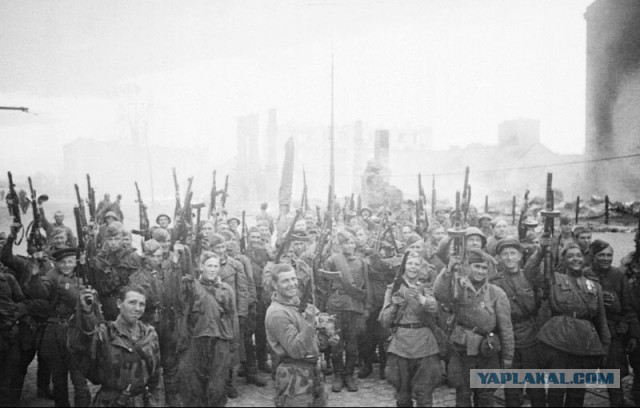 Макаревич поделился мыслями о войне!