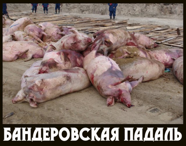 Губарев: Остался час до начала тотального