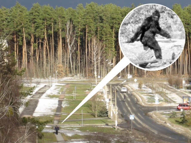 Подборка смешных картинок
