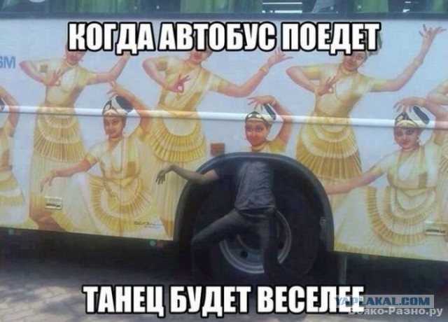 Просто приколы
