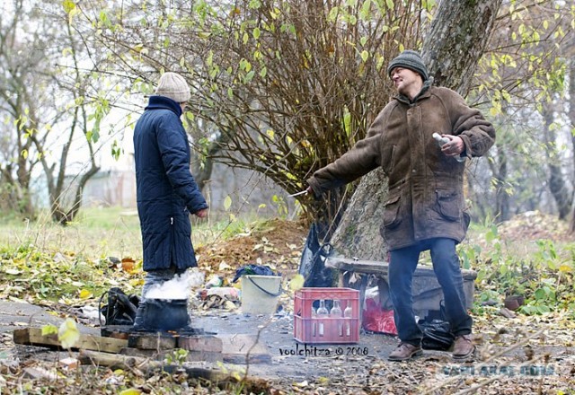Романтичный вечер с лепестками роз