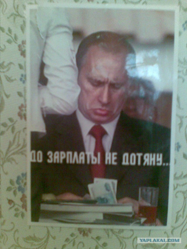 Фраза дня.