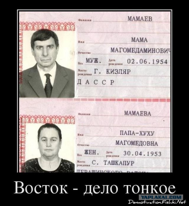 Демотиваторы вторника