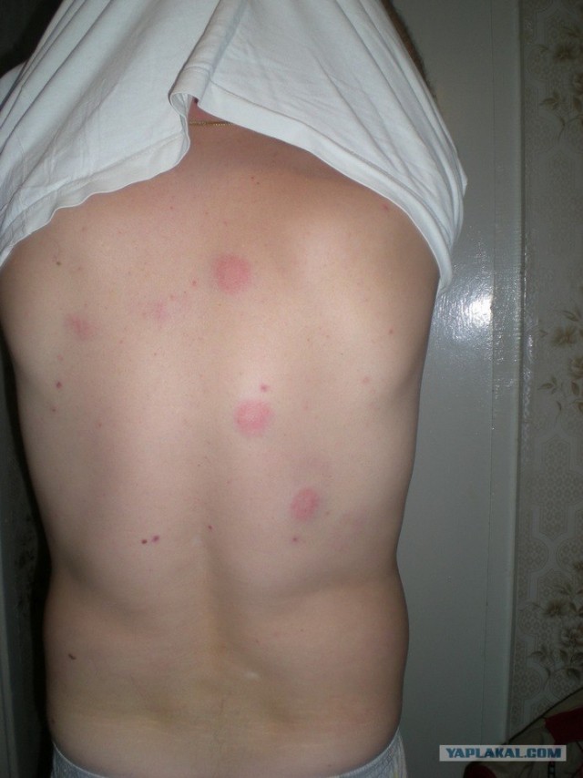 Как я на войну ходил