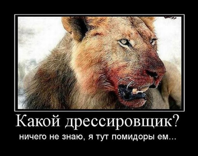 Вы хотите "демов"? часть 2-я