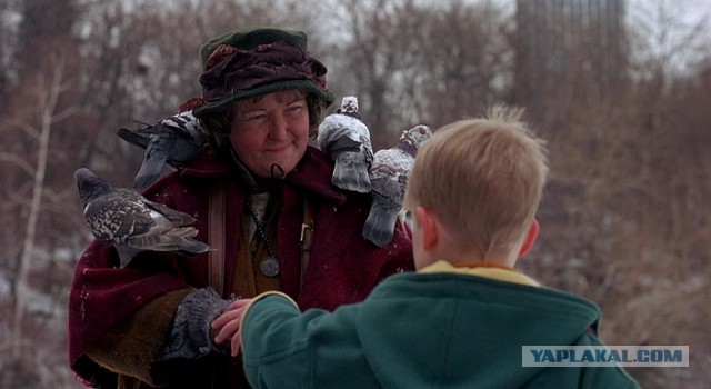 Двор в говне или "повелительница голубей"