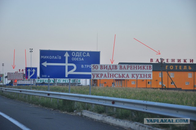 Вывеска на женской общаге в Киеве