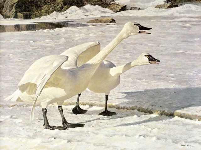 Рисованное зверьё